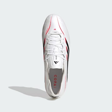 Chaussure de foot 'Copa Pure IV Pro' ADIDAS PERFORMANCE en blanc