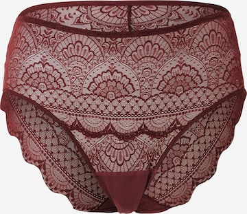 SCHIESSER Panty in Red: front