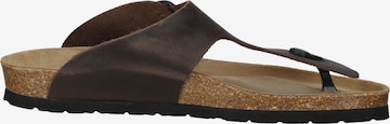 ROHDE T-Bar Sandals 'Grado' in Brown