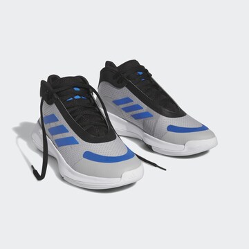 ADIDAS PERFORMANCE Sportschuh 'Legends' in Grau