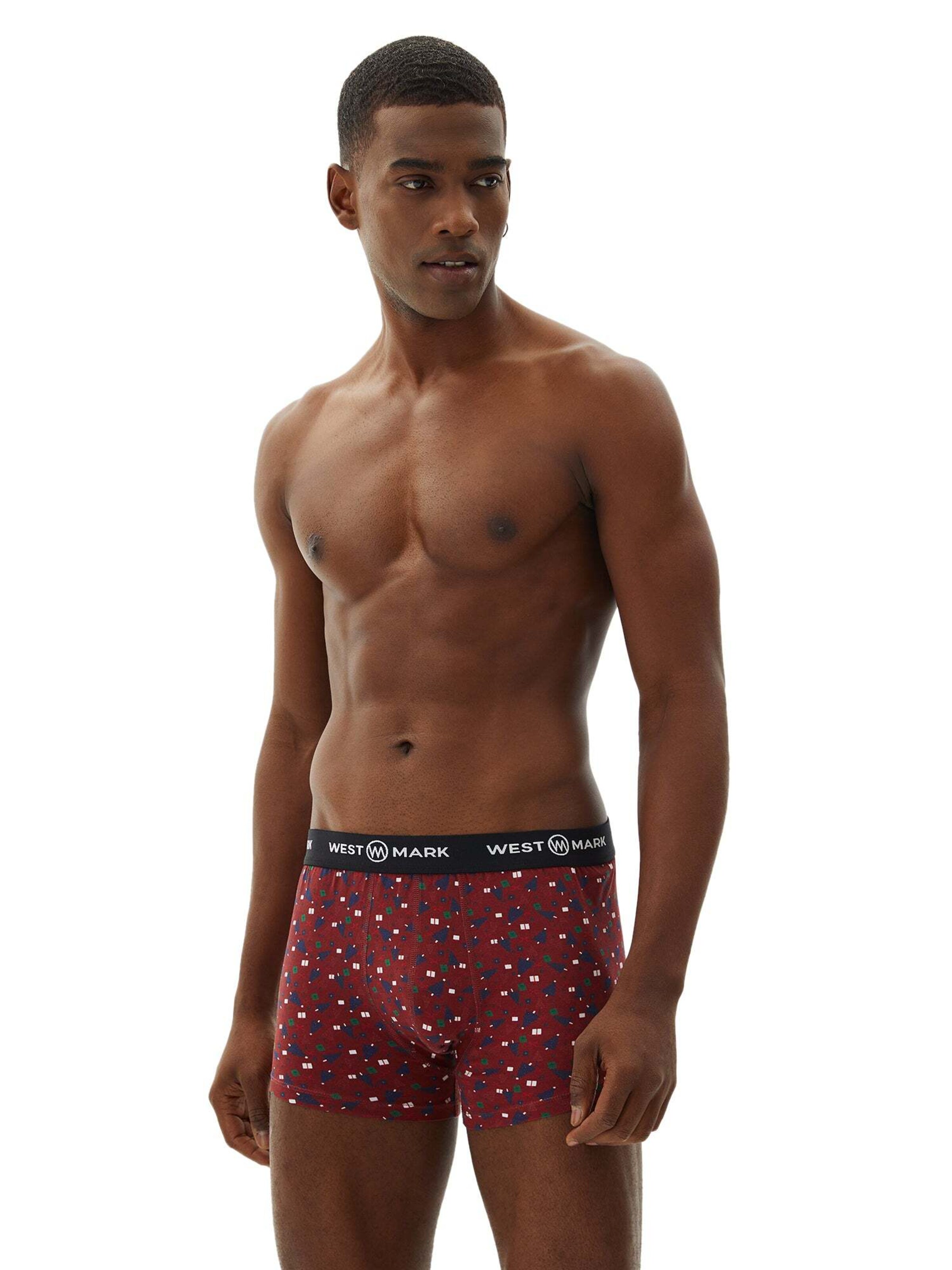 WESTMARK LONDON Boxer shorts in Mixed colours