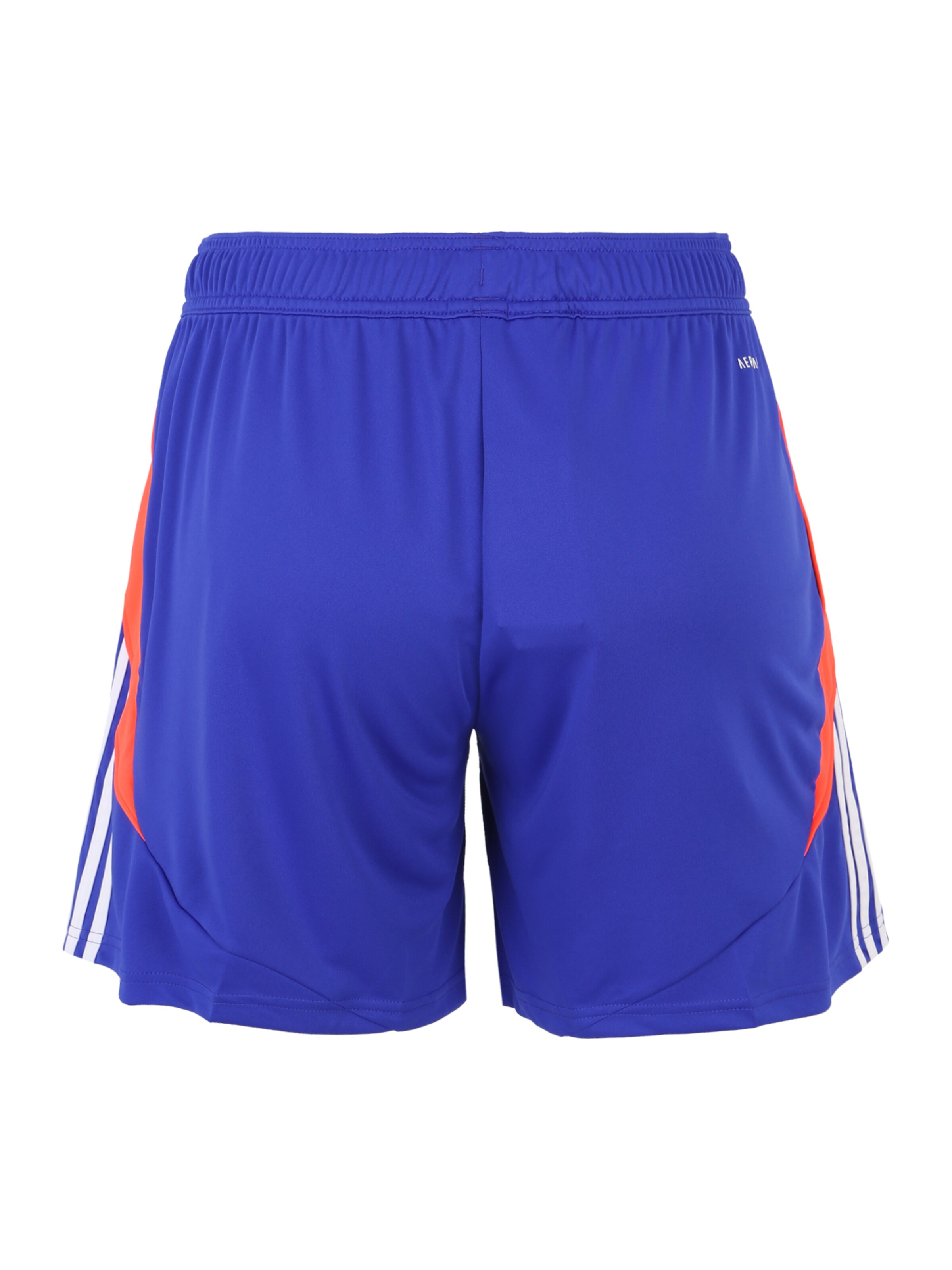 regular Pantaloni sportivi 'Tiro 24' di ADIDAS PERFORMANCE in blu