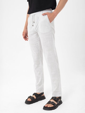 By Diess Collection Regular Trousers in Grey