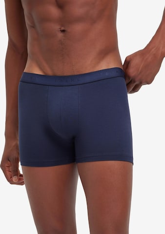 FALKE Boxershorts '2-Pack' in Blau: Vorderseite