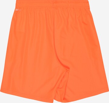 PUMA Regular Sportbroek 'TeamLiga' in Oranje