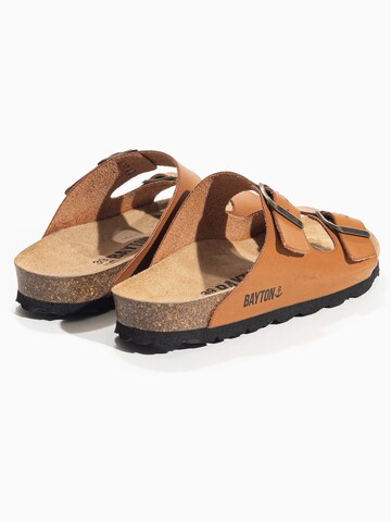 Bayton Mules 'Tracy' in Brown