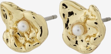 zelts Pilgrim Auskari ' Inaya ': no priekšpuses