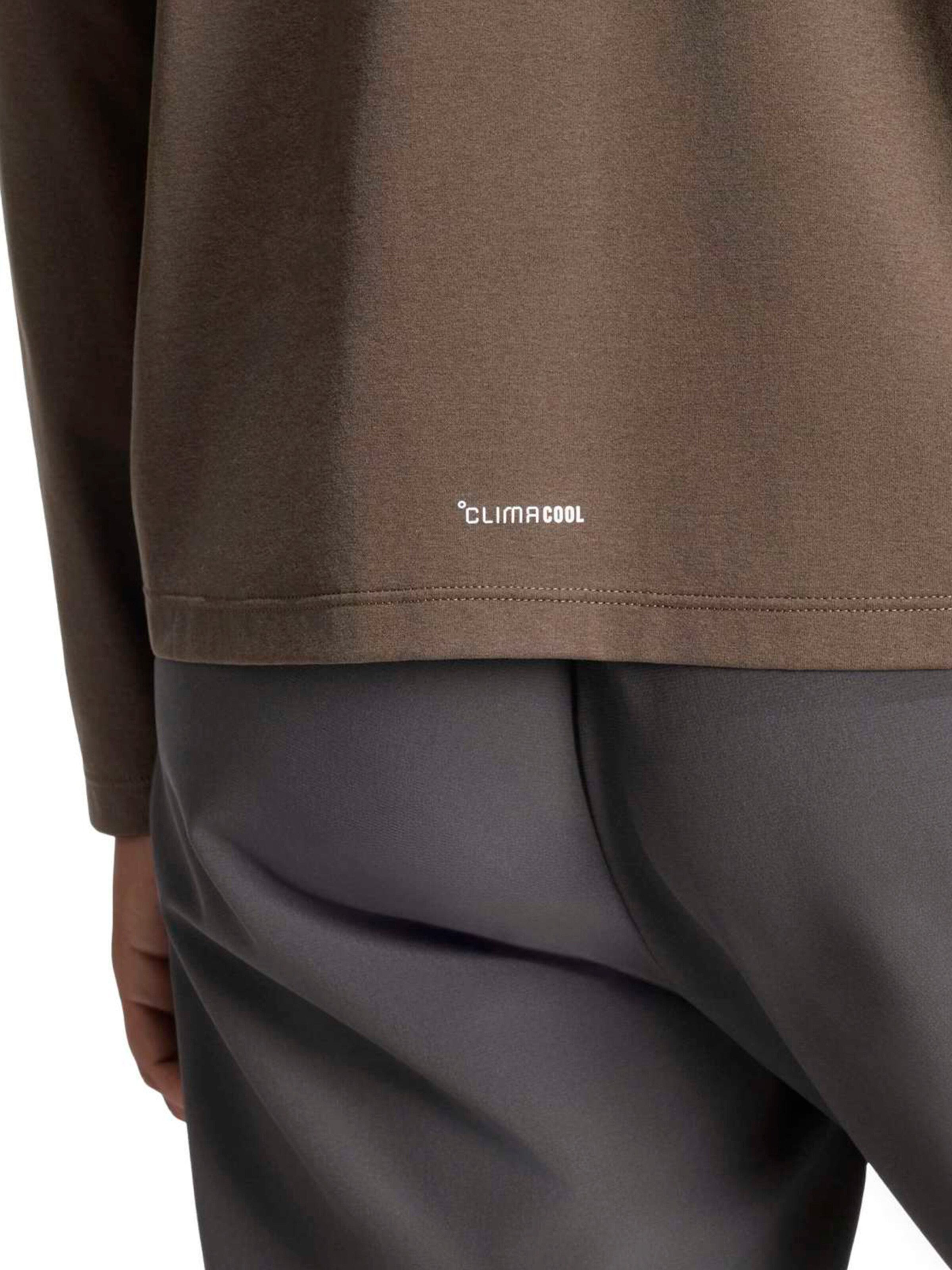 ADIDAS TERREX - Camisa funcionais 'Multi' em verde