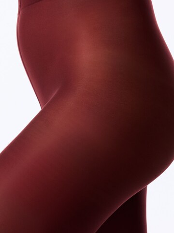 Collant 'PENTI Premier Extra Stretch Strumpfhose' Penti en rouge