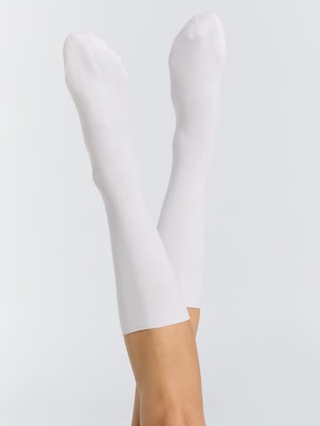 Albero Natur Socks 'Bio-Baumwoll-Socken mit Rollrand Unisex – 2er Pack' in White