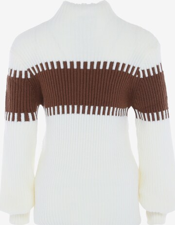 FENIA Sweater in Brown