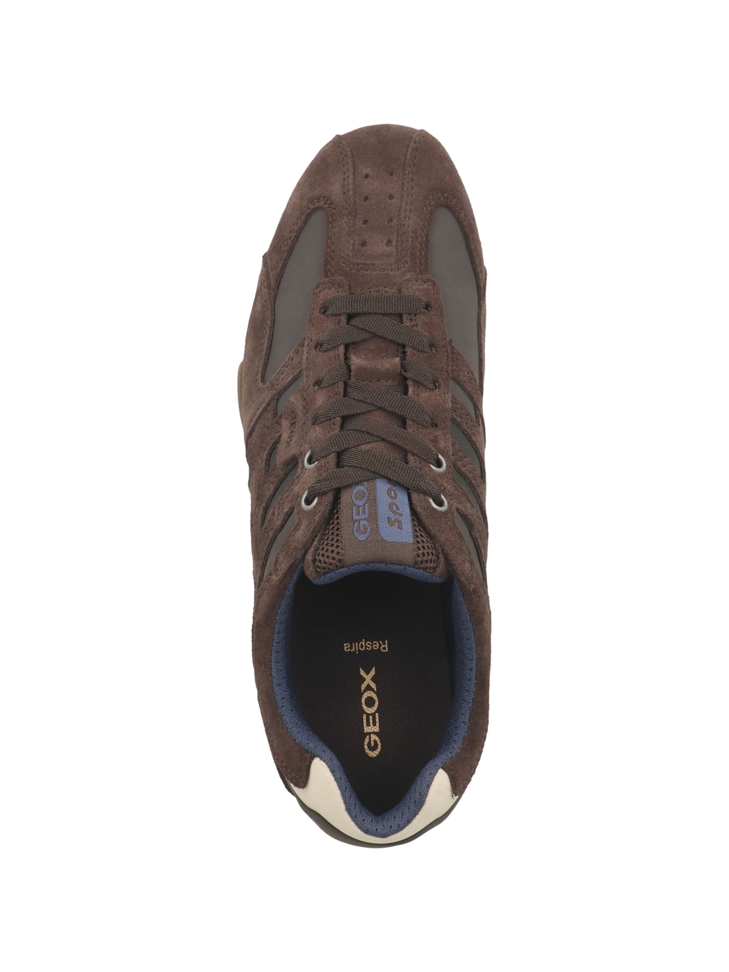 GEOX Sneaker in Braun