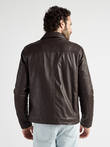 JCC Tussenjas 'Luca' in Bruin