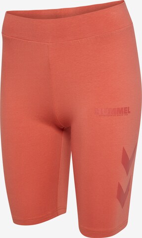 Hummel Skinny Workout Pants in Orange