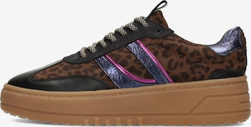 Baskets basses 'Anemone' PS Poelman en marron : devant