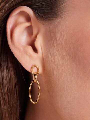 Lucardi Oorbellen in Goud: voorkant