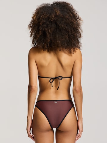 Shiwi Triangel Bikini 'Liz' in Bruin