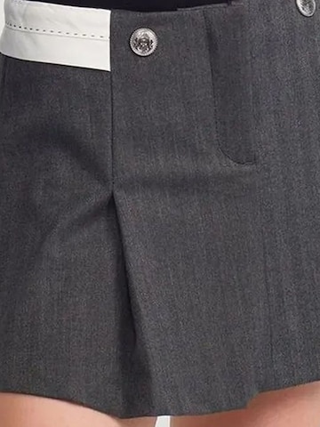 Dilvin Skirt in Grey