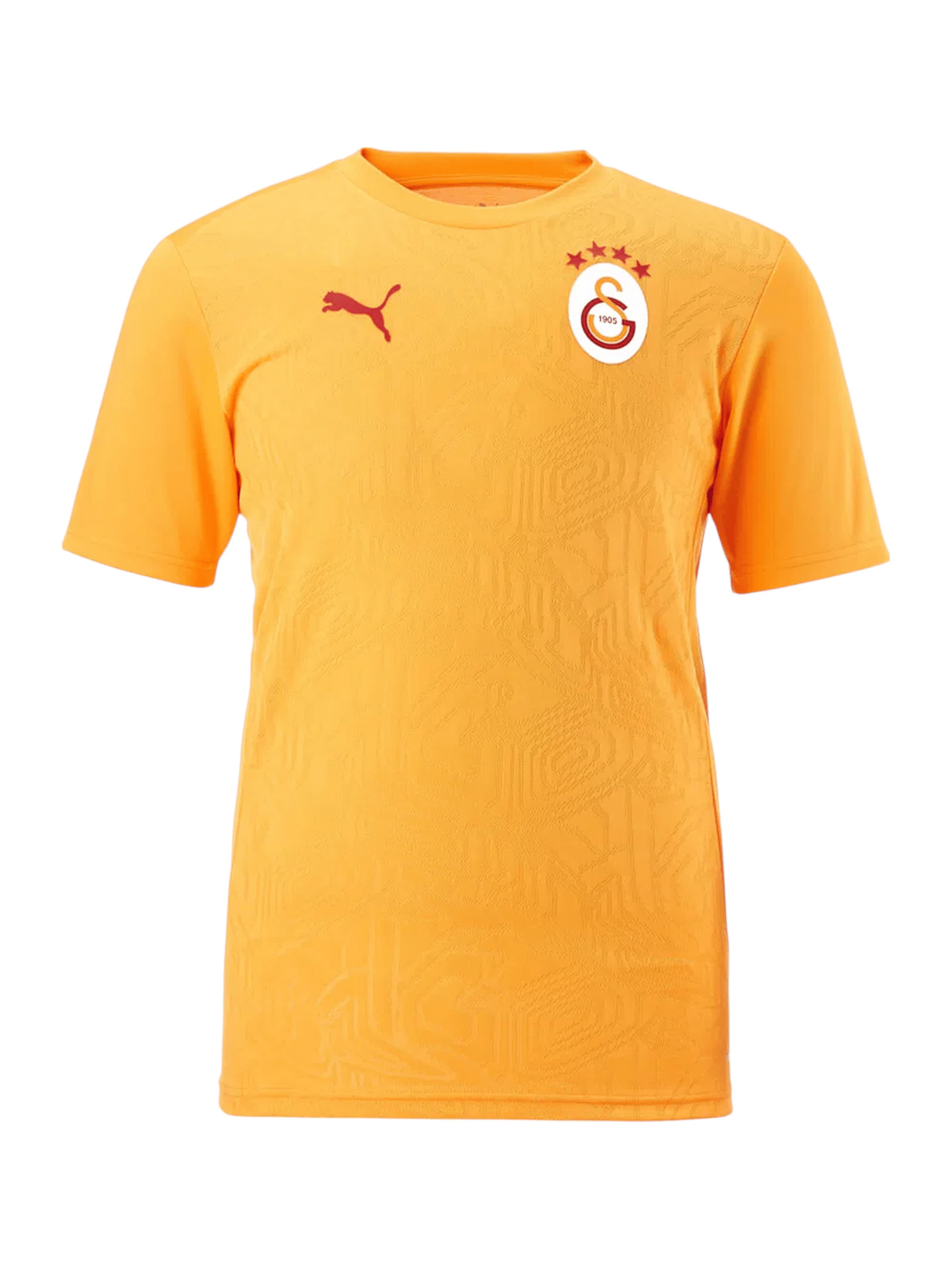 PUMA Trikot 'Galatasaray Istanbul' in Gelb: Vorderseite