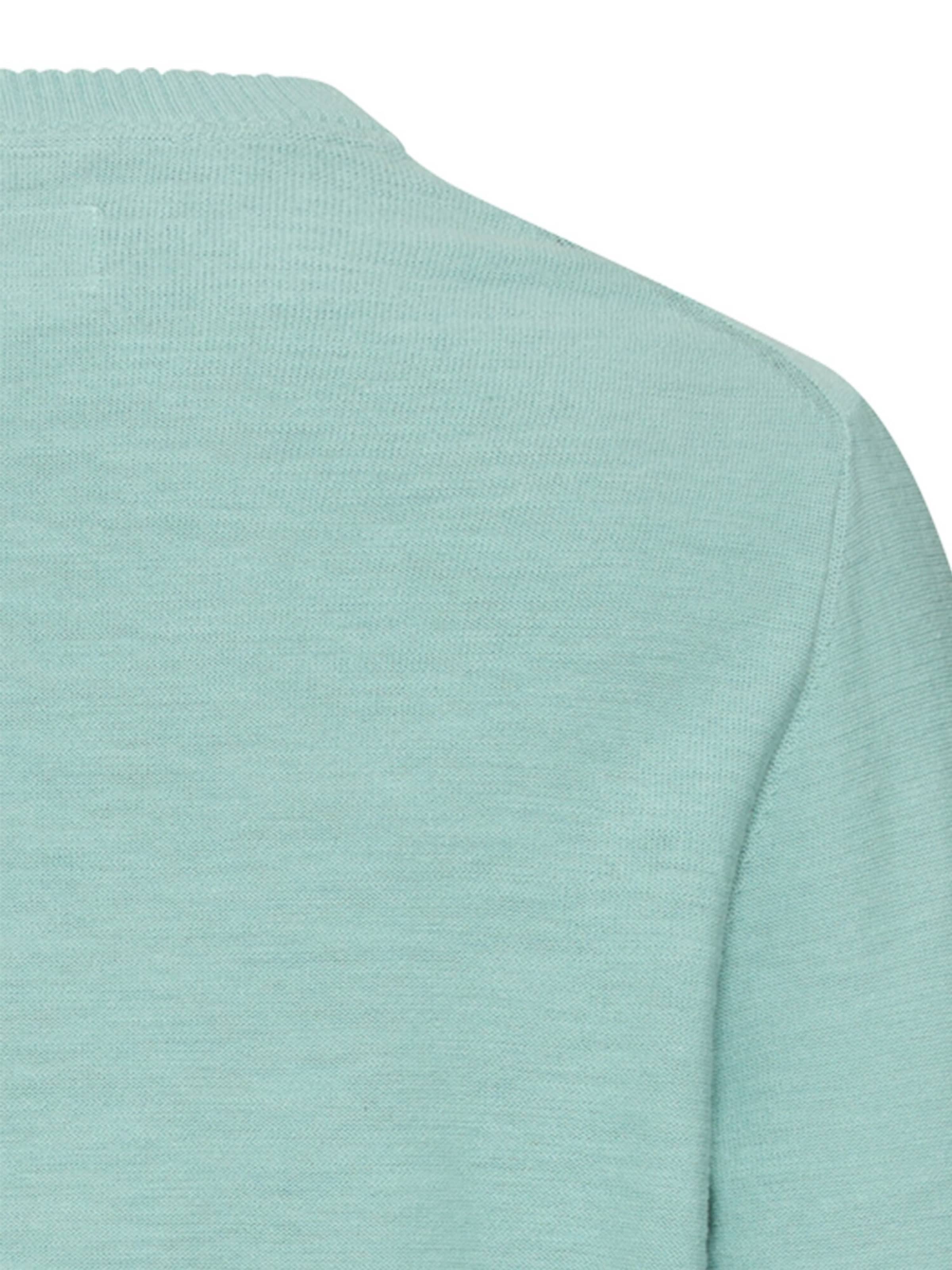 CAMEL ACTIVE Pullover in Grün