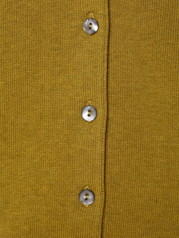 Brookshire Strickjacke ' ' in Grün