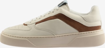 Baskets basses 'Terance' Högl en beige : devant