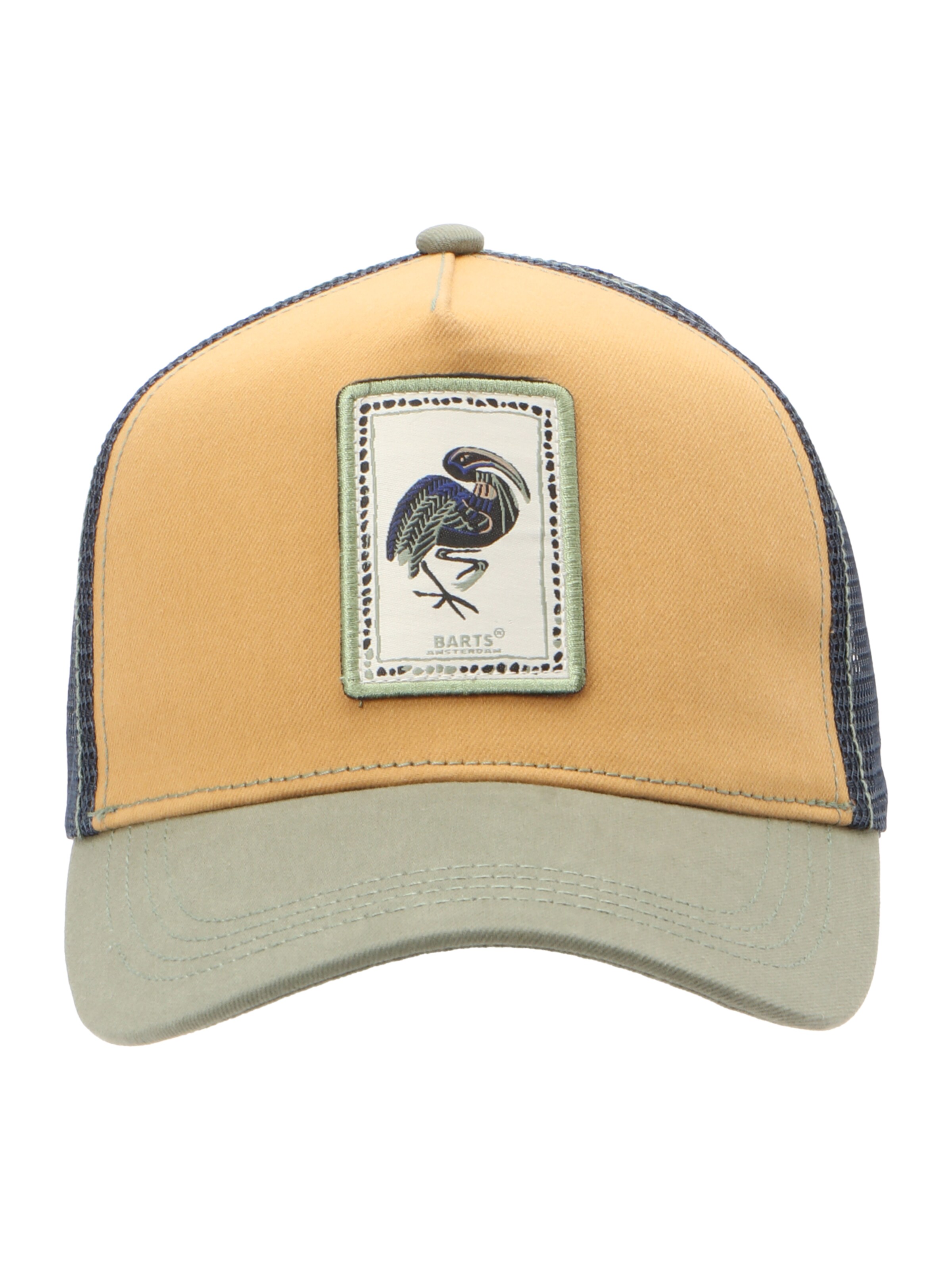 Barts Кепка 'Silkin' в Зеленый