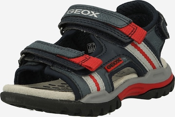 GEOX Open schoenen 'BOREALIS' in Blauw: voorkant