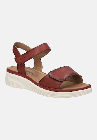 JOSEF SEIBEL Sandaal 'Sevran 01' in Rood