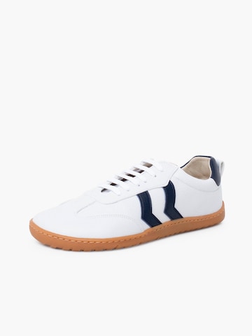 Pisamonas Sneakers in Blauw: voorkant