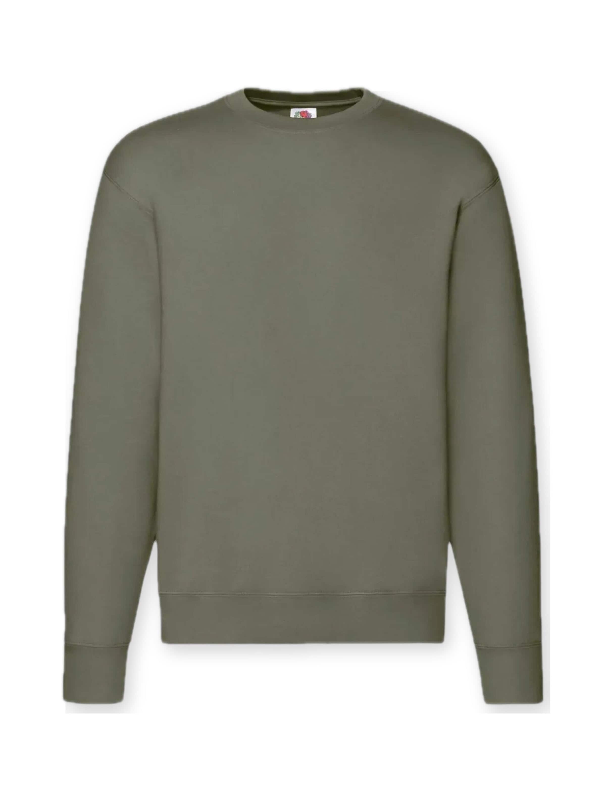 Felpa 'Crewneck sweatshirt' di FRUIT OF THE LOOM in verde: frontale