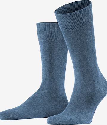 FALKE Socken 'Family' in Blau: Vorderseite