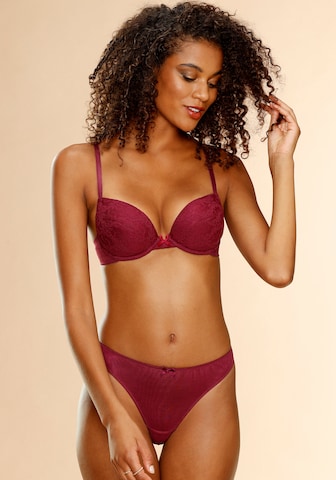 PETITE FLEUR Tanga – mix barev