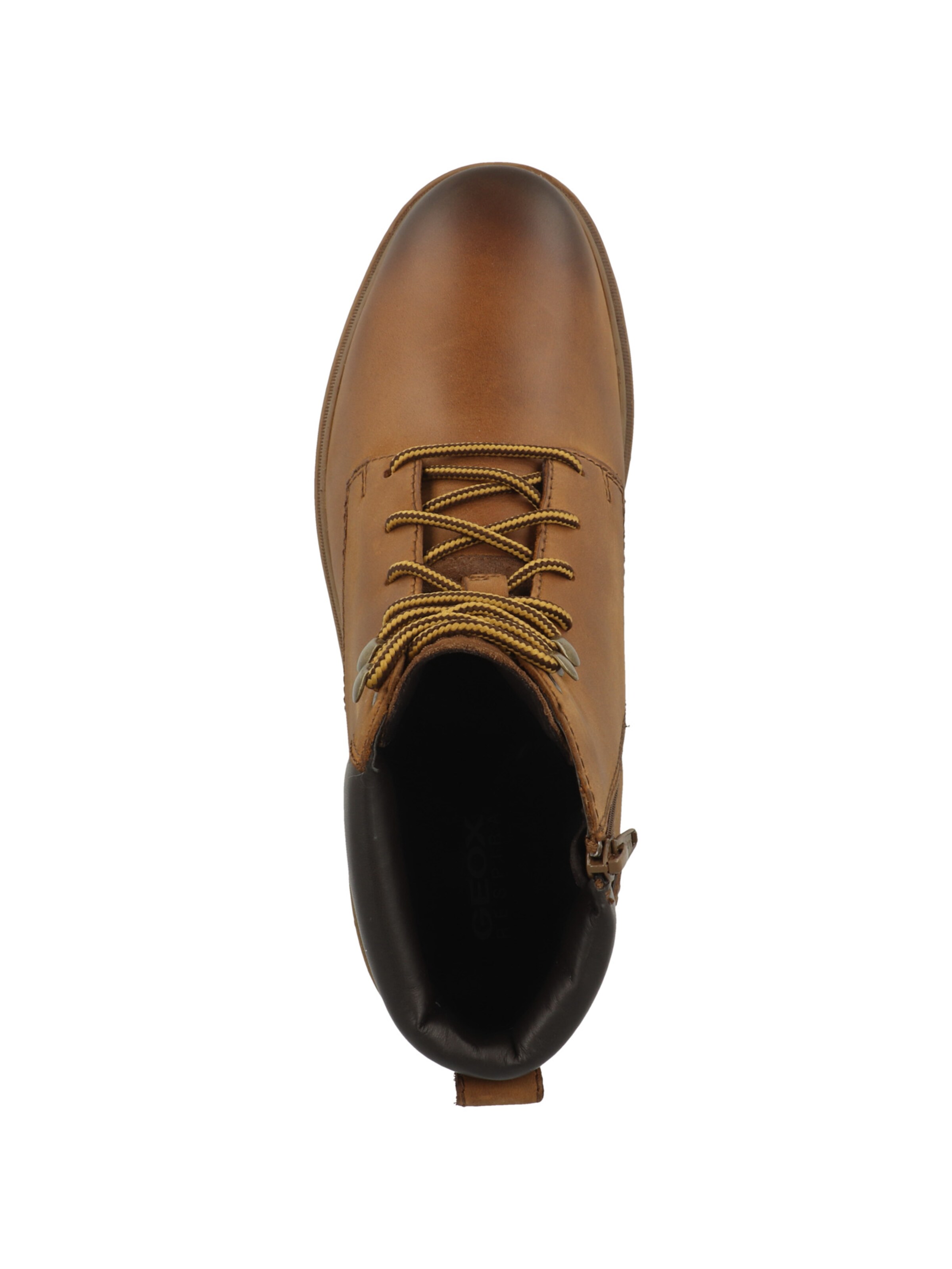 Boots stringati 'Andalo' di GEOX in marrone