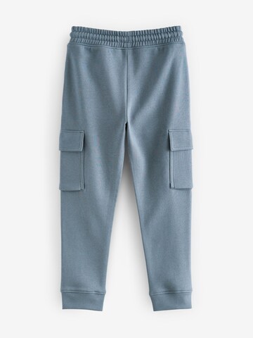 Loosefit Pantaloni di Next in blu