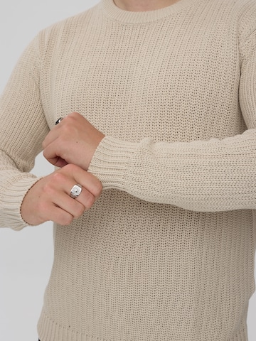 Dxnmxrk Sweater 'DXFae' in Grey