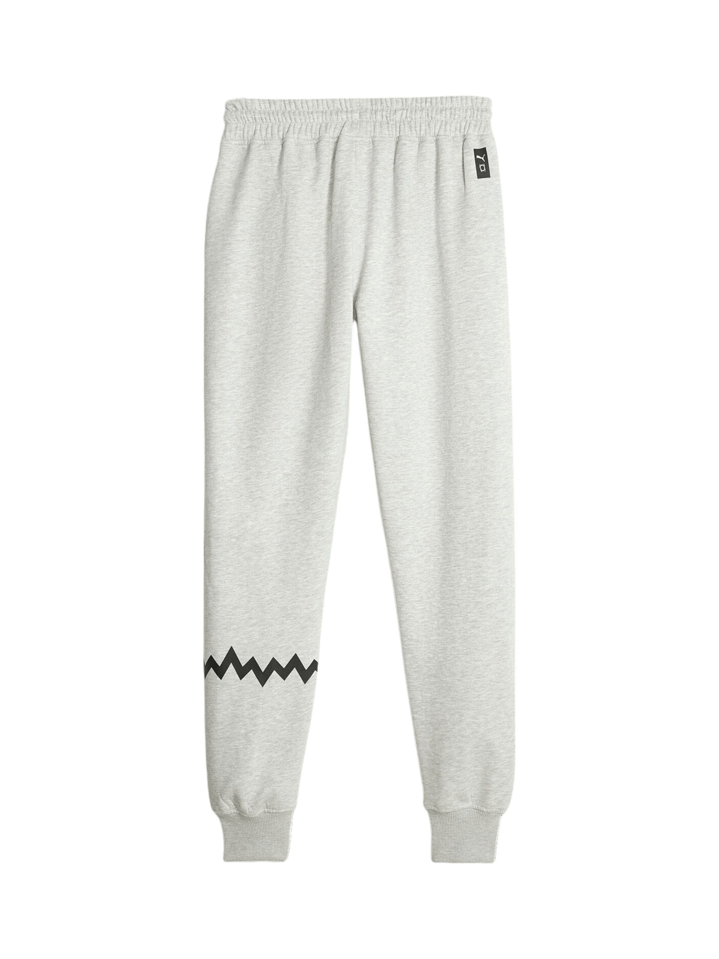 PUMA Tapered Sporthose 'Hoops Team' in Grau