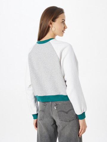 LEVI'S ®Sweater majica 'Vintage Raglan Crewneck Sweatshirt' - siva boja