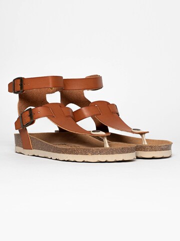 Bayton Sandals 'Kwinana' in Brown