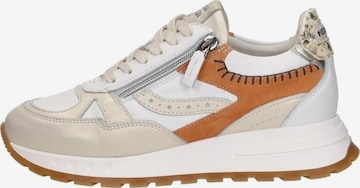 Baskets basses 'Kira' Piedi Nudi en beige : devant
