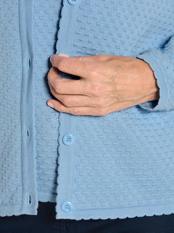 Goldner Gebreid vest in Blauw