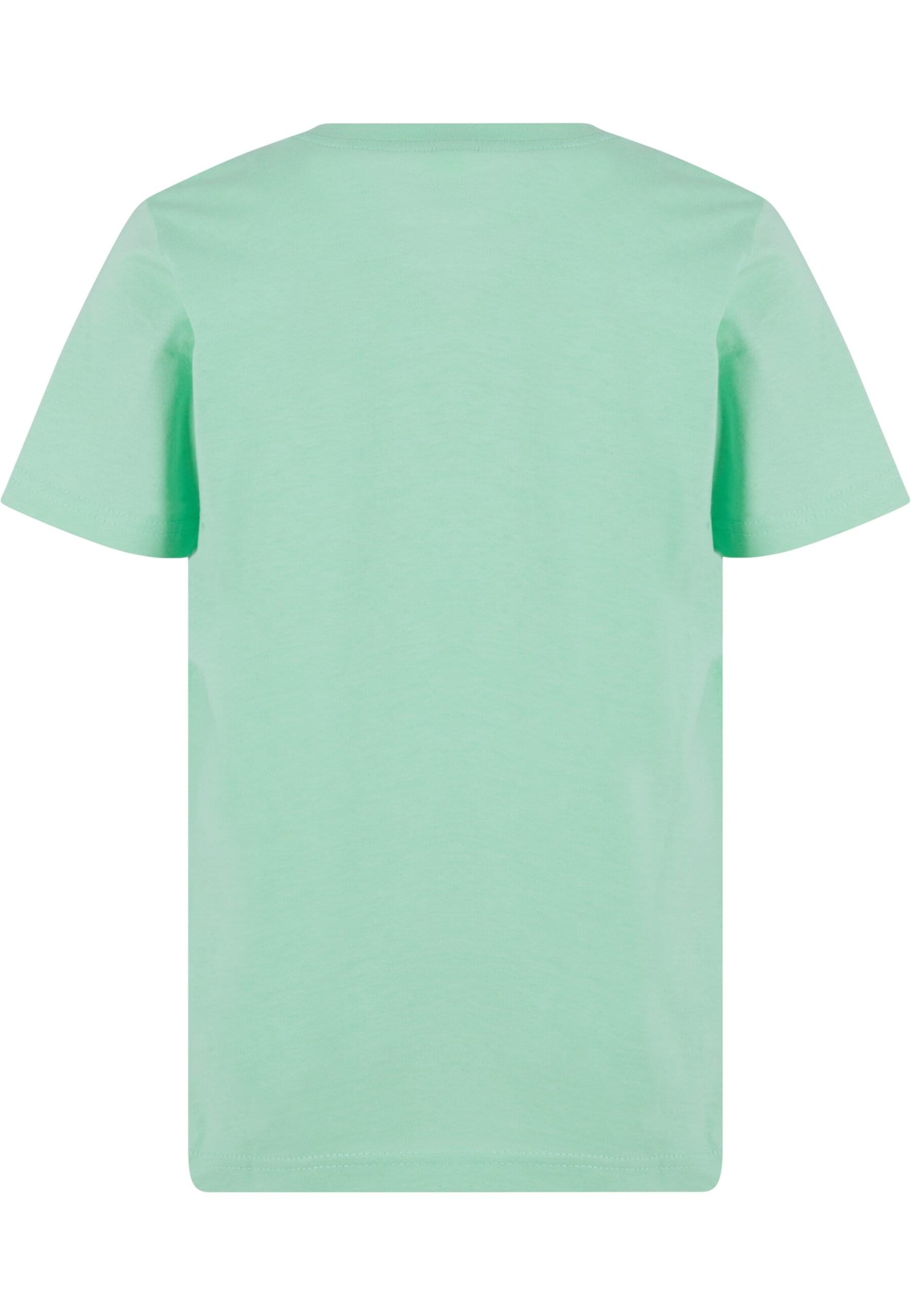 Mister Tee Shirt 'Sketch' in Green