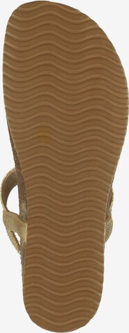 IGI&CO T-Bar Sandals in Gold