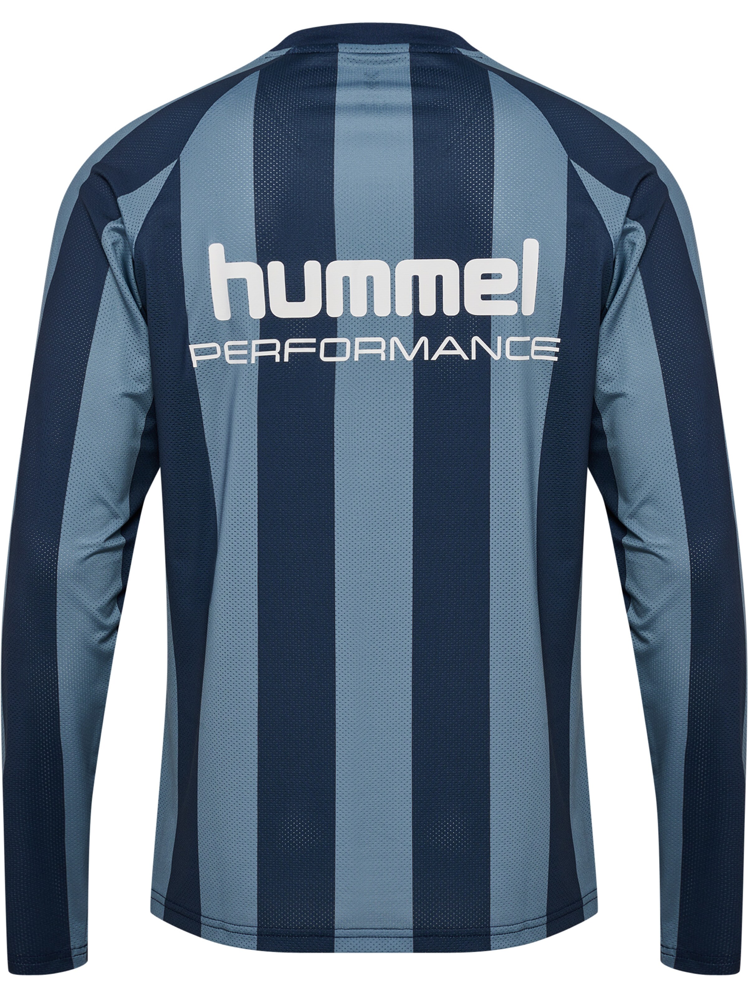 Hummel Functioneel shirt 'Pulse' in Blauw