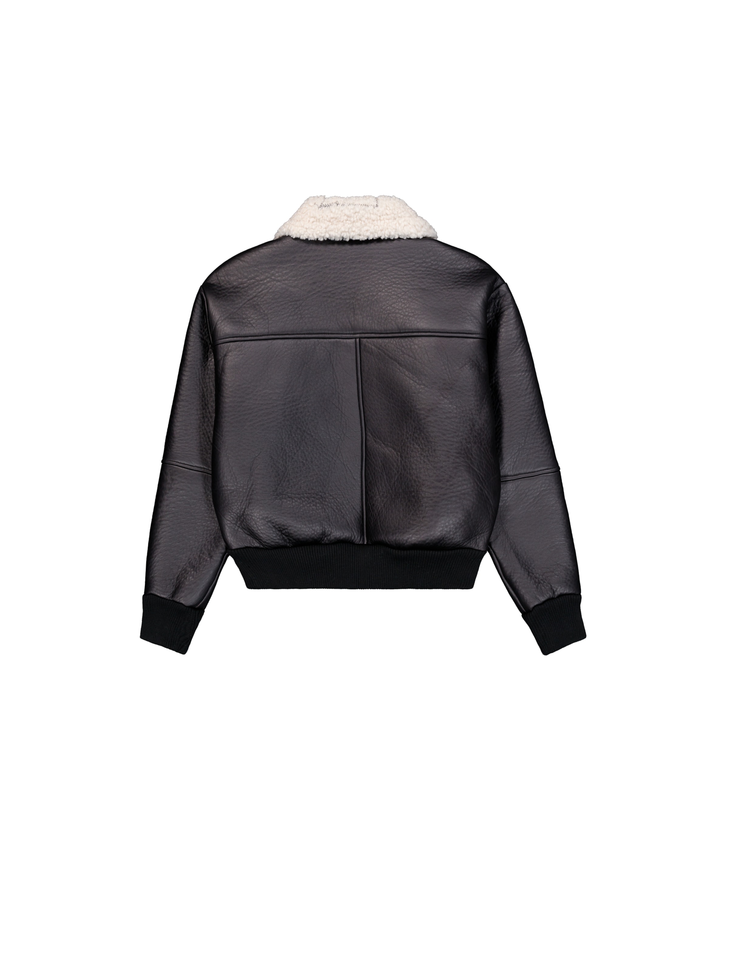 ALPHA INDUSTRIES Winter jacket in Black