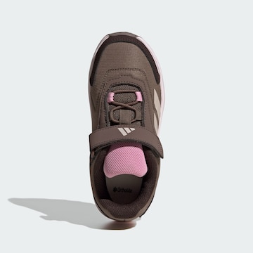 Chaussures basses 'Anylander' ADIDAS TERREX en marron