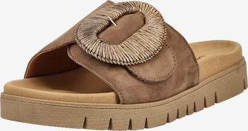 GABOR Mules in Brown: front