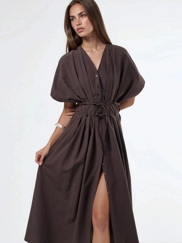 Busem Dress in Brown
