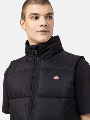 DICKIES Bodywarmer 'Waldenburg' in Zwart