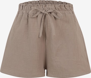 Cloud5ive Broek in Bruin: voorkant